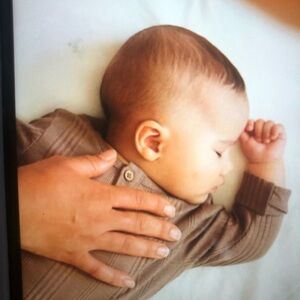 NWOT BabyBjorn Fitted Sheet for travel Crib Light/ Easy Go